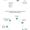 Our Reward System and Addiction from mindheal