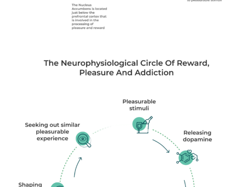 Our Reward System and Addiction from mindheal